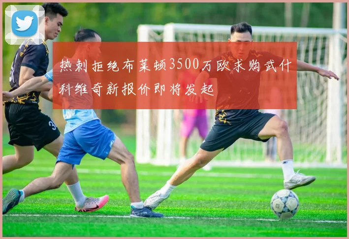 热刺拒绝布莱顿3500万欧求购武什科维奇新报价即将发起