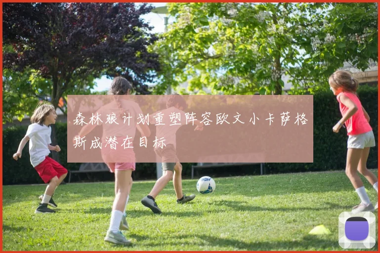 森林狼计划重塑阵容欧文小卡萨格斯成潜在目标